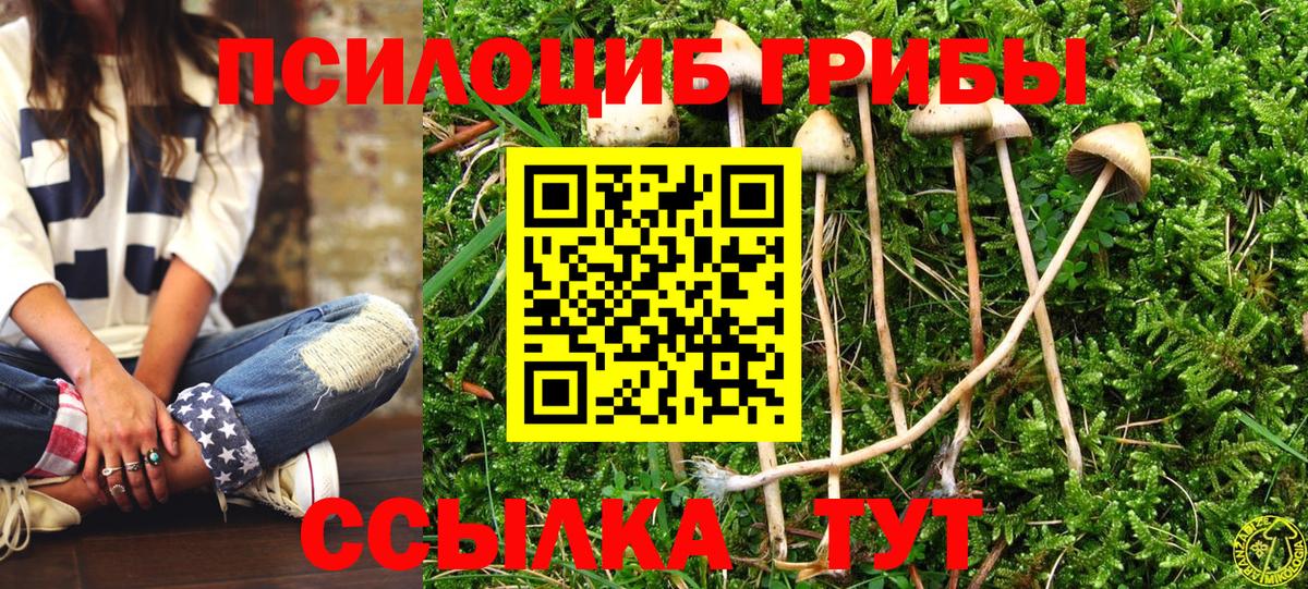 Галлюциногенные грибы прущие грибы  как найти   Вход с VPN  Солнечногорск  Псилоцибиновые грибы мицелий 