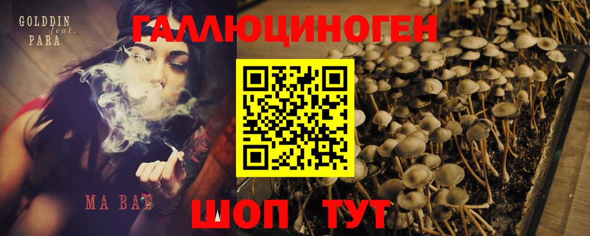 Галлюциногенные грибы Magic Shrooms Солнечногорск